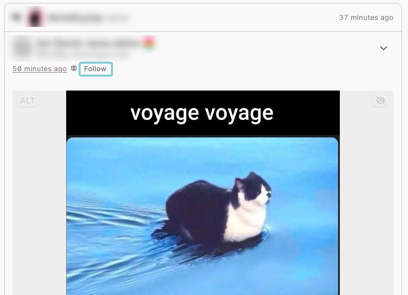 A WAFRN post made by another user 50 minutes ago. Next to the timestamp, the "Follow" button is outlined in blue to be more noticeable.