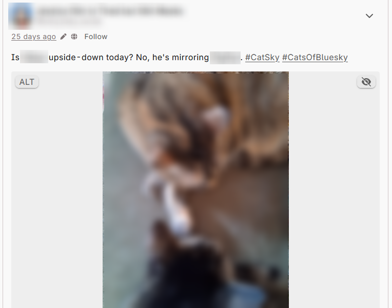 A post from a user on Bluesky, describing a picture with two cats. The picture and the cats names are both blurred, but the text reads, "Is (cat) upside-down today? No, he's mirroring (second cat). #CatSky #CatsOfBluesky